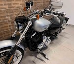 XL 1200 Custom 2012