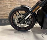 V-rod Night Rod 2014