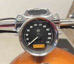 Sportster XL 1200 CA 2015