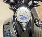 Fat Bob 107 2019